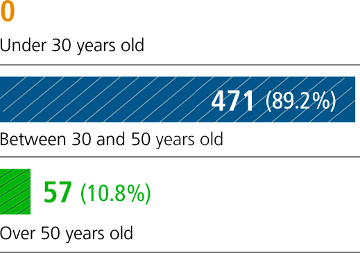 Abaixo de 30 anos - 0 (0%) / Entre 30 e 50 anos - 471 (89,2%) / Mais de 50 anos - 57 (10,8%)