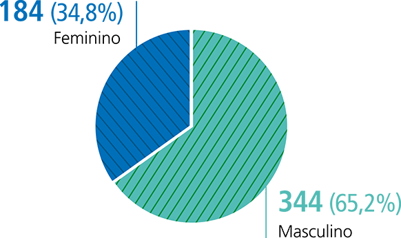 Feminino - 184 (34,8%) / Masculino - 344 (65,2%) 