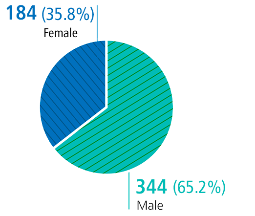 Feminino - 184 (34,8%) / Masculino - 344 (65,2%) 