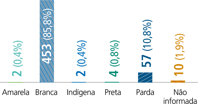 Amarela - 2 (0,4%) / Branca - 453 (85,8%) / Indígena - 2 (0,4%) / Preta - 4 (0,8%) / Parda - 57 (10,8%) / Não informada - 10 (1,9%)