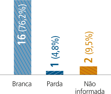 Branca - 16 (72,6%) / Parda - 1 (4,8%) / Não informada - 2 (9,5%)